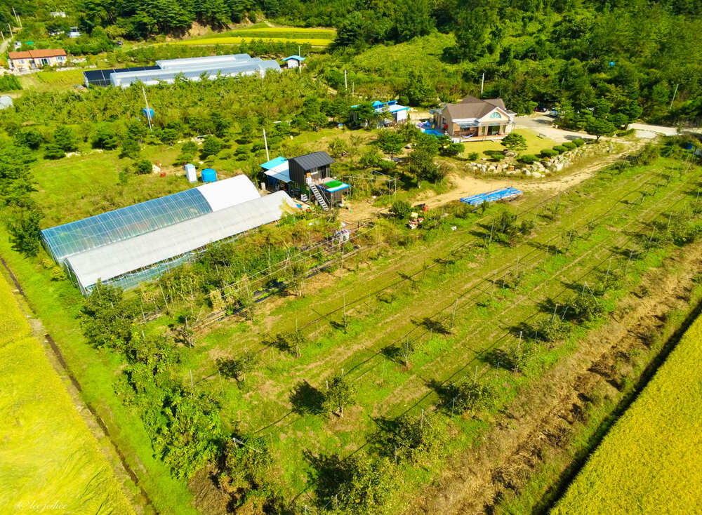 1,000평 부지 독채 펜션