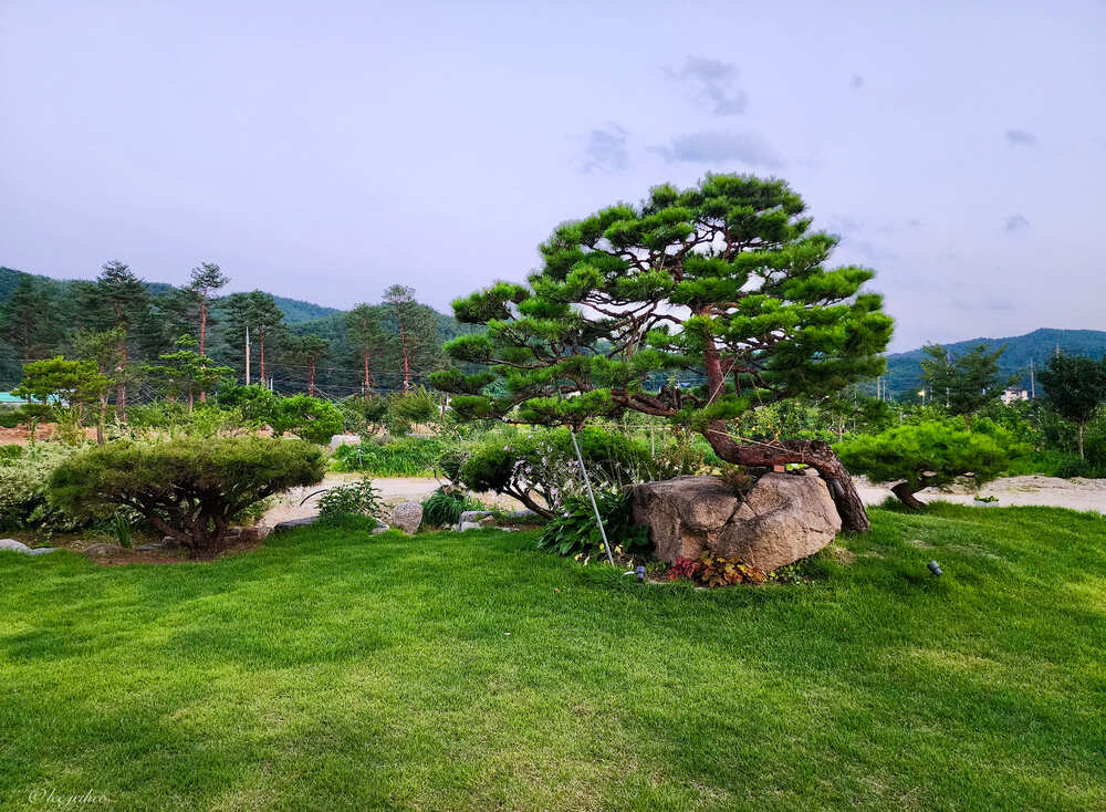 잘 관리된 조경