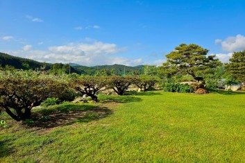 잘 관리된 넓은 잔디 정원